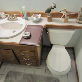 NEW - Indian Trail Bathroom Bump-Out 4